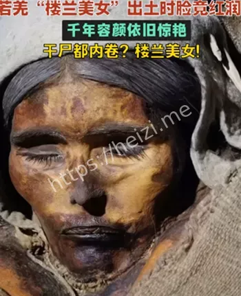 消失的国度