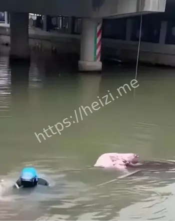 跳湖自杀