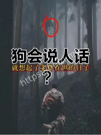 都市怪谈