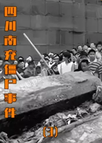 僵尸