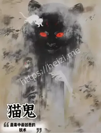 749局揭秘