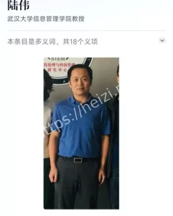 败诉