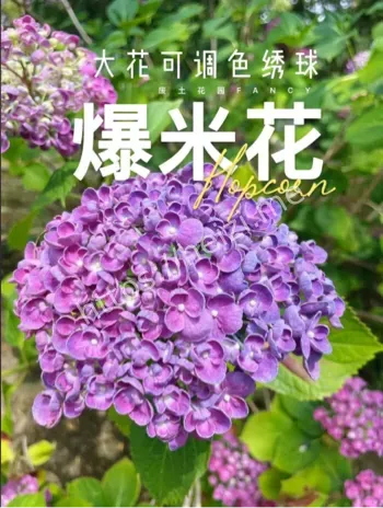 自然奇观