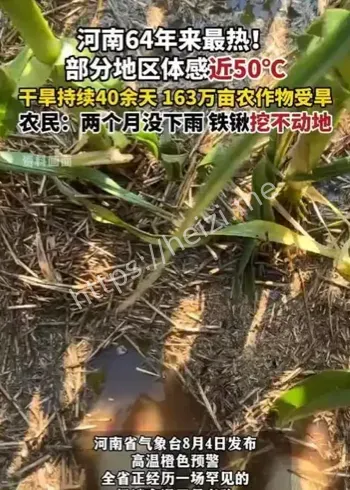 河南干旱