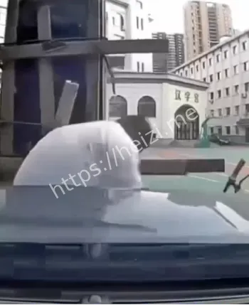 路怒情绪