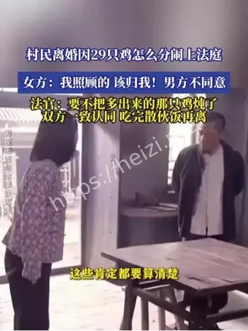 财产分割