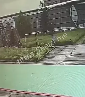 观景假山