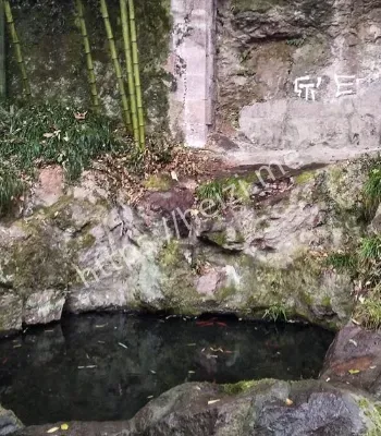 云南哀牢山