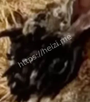 科罗拉多州