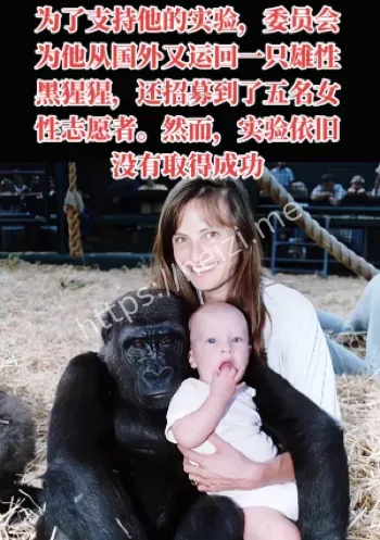 人猿杂交
