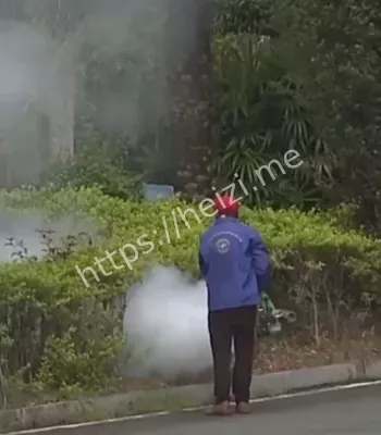 全民总动员