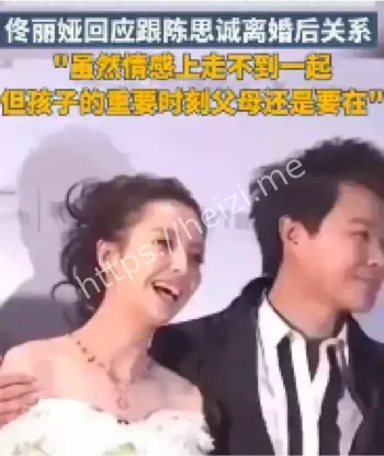 陈思诚