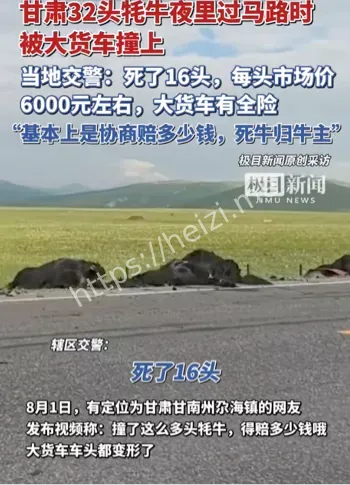 牦牛事故