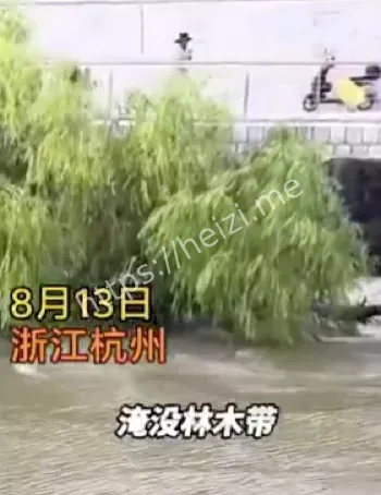观潮安全