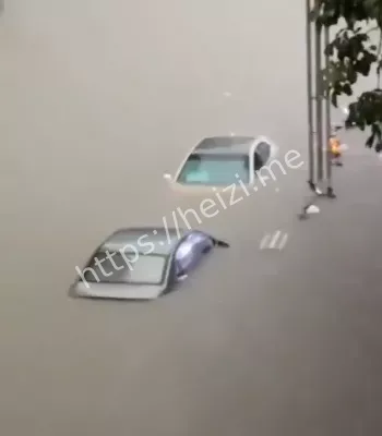 防蚊封下水道