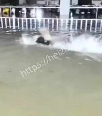 看海模式