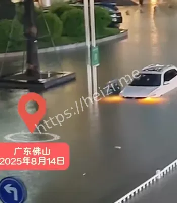 城市管理