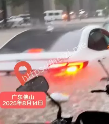 登革热防控