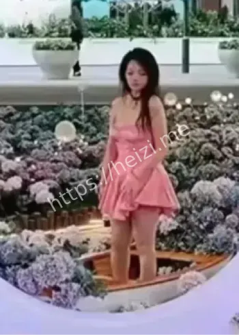 论文抄袭