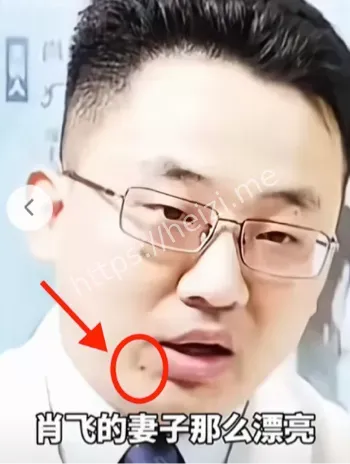 论文抄袭