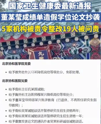 论文抄袭