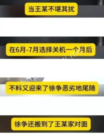 陶虹