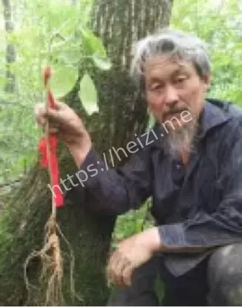 聚龙洞
