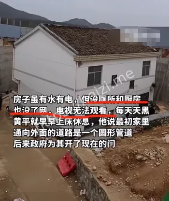 军师女婿