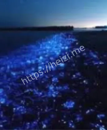 未知生物