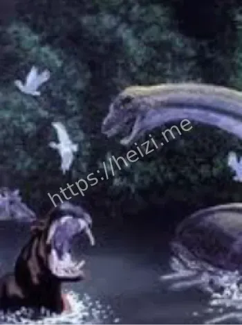 桑加河支流