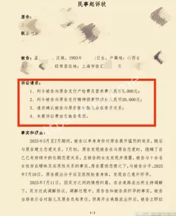金鹏飞行员