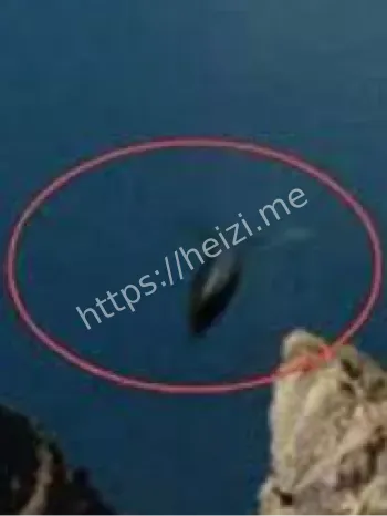 双头蛇形生物