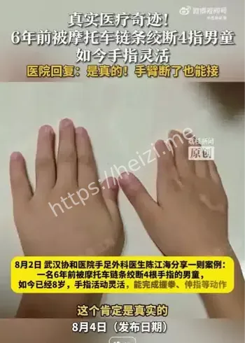 白鹿