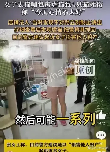 虐猫事件