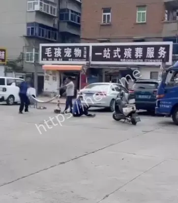 谢三村