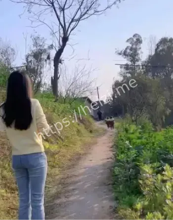 故意杀人