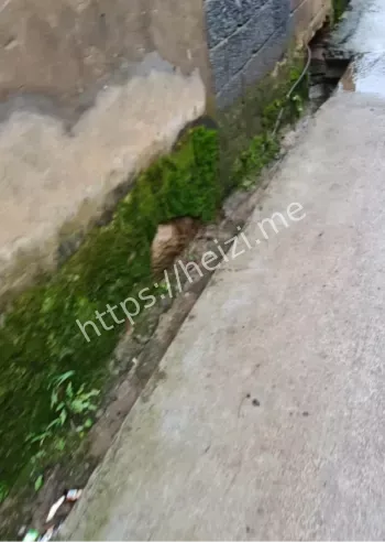 青少年犯罪