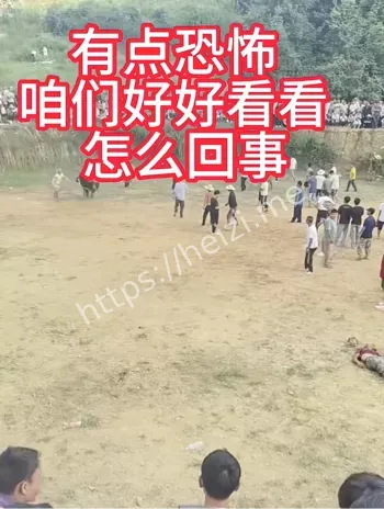 撞死人