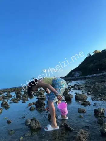 海螺