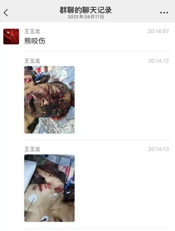 东北黑熊