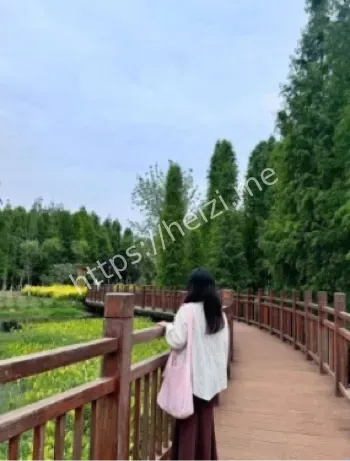 江苏高校