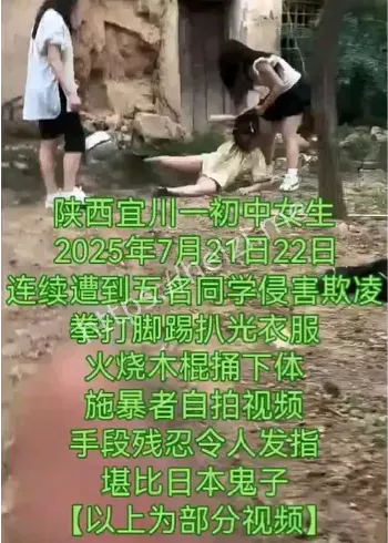 校园欺凌