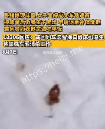 火车卧铺床虱