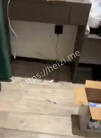 针孔摄像头