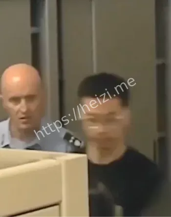 意大利被捕