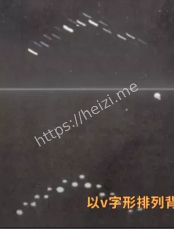 卢伯克之光