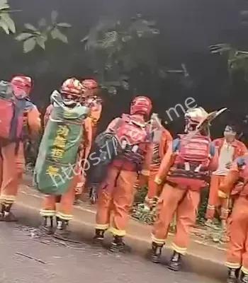 房屋被毁