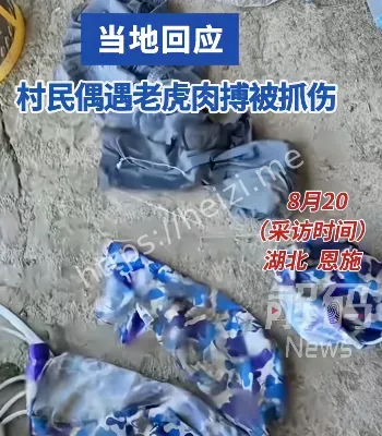 野生动物