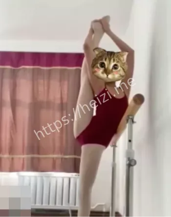金主定制