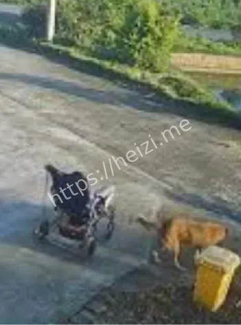 鱼塘安全隐患